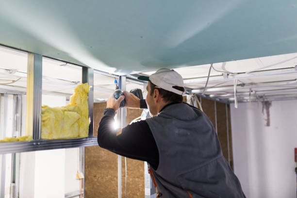 Best Insulation Contractors for Homes  in Mount Gilead, OH