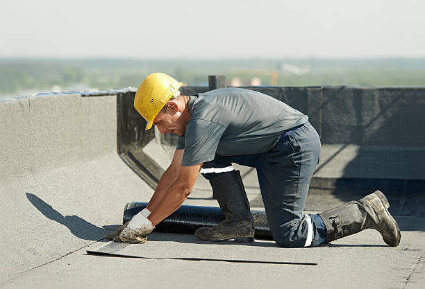 Best Insulation Contractor Near Me  in Mount Gilead, OH
